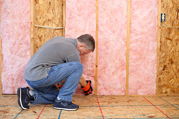 Best Insulation Installation Services in Charles City, IA