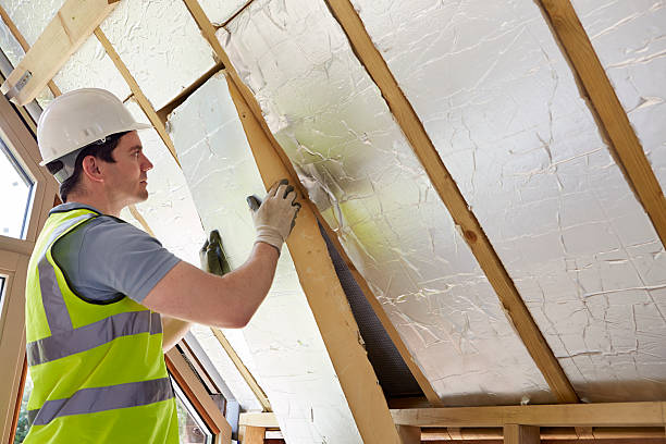 Best Insulation Maintenance and Repair in Charles City, IA